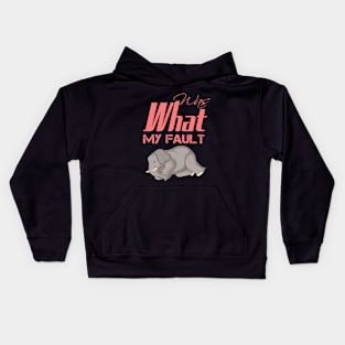 Justice For Elephant Kids Hoodie